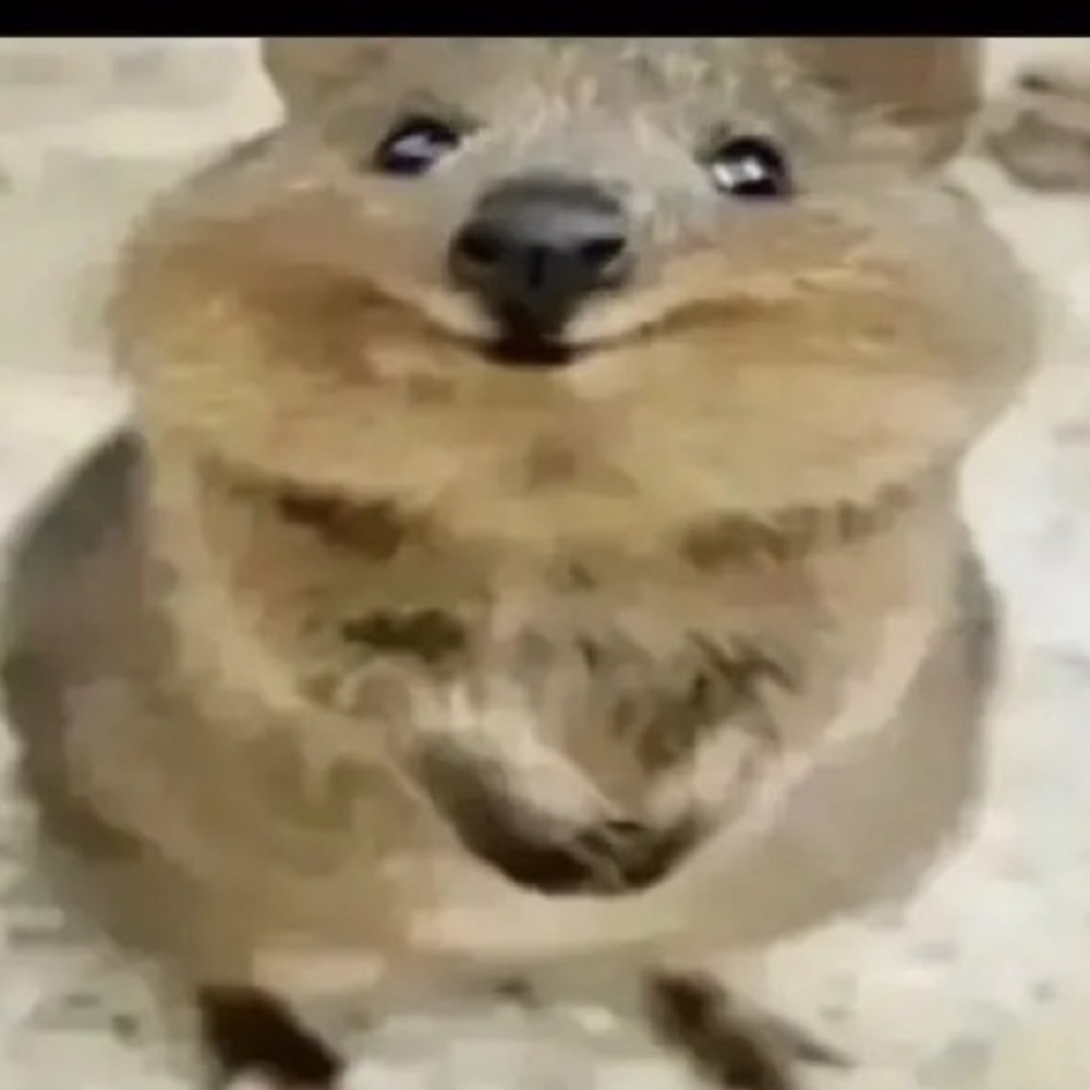 Meet your Posher, Tyrone